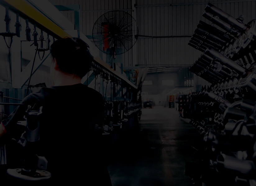 菲版特工厂实力